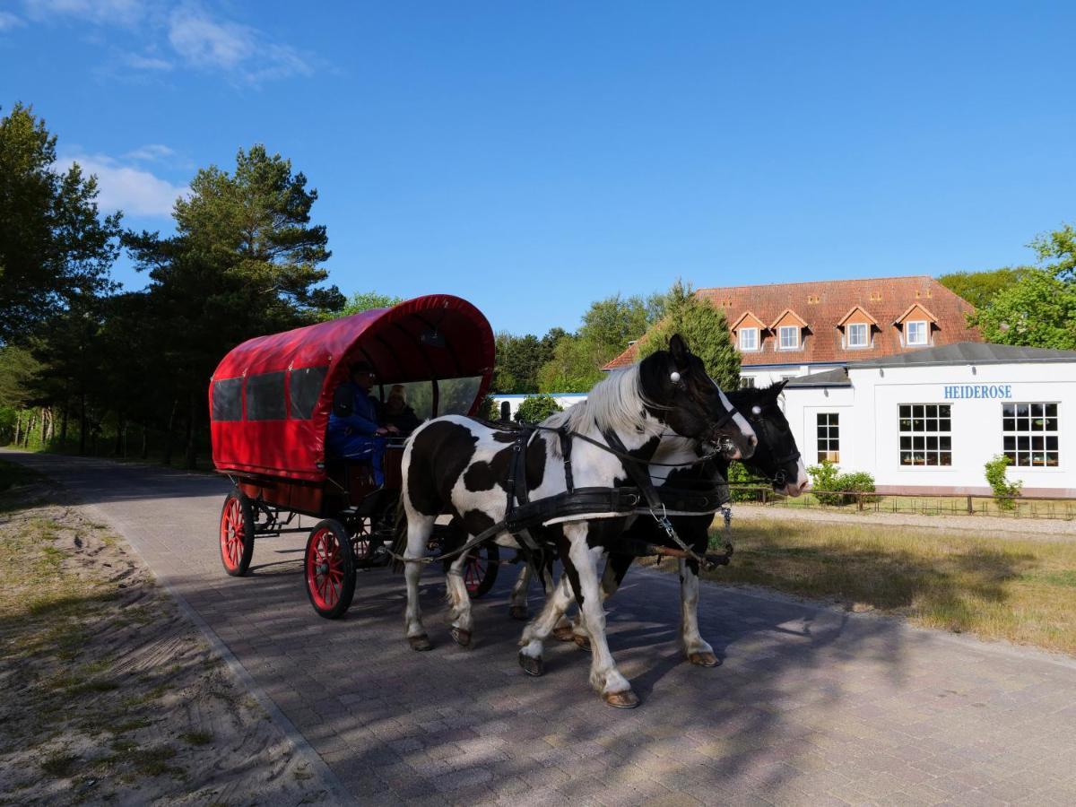 Hotel Heiderose Hiddensee Neuendorf  Exteriör bild